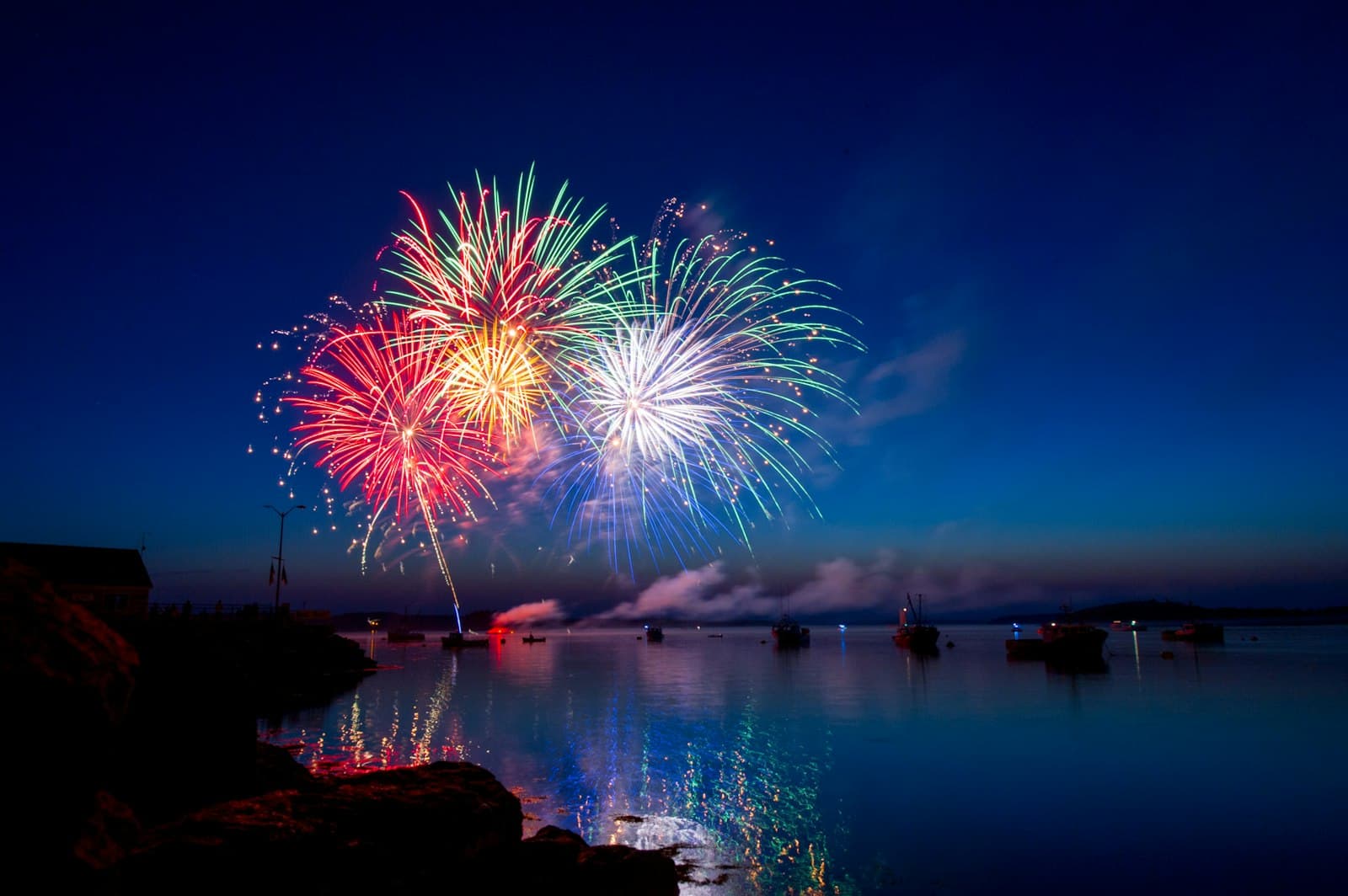 Fireworks over a desert park at night